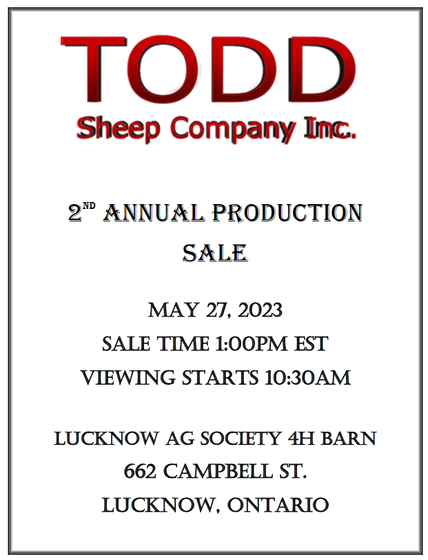 Production Sale Flyer